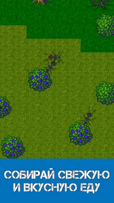 Ant Evolution: Ant Simulator screenshot №3