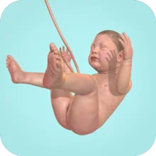 9 Months (МОД Без рекламы)