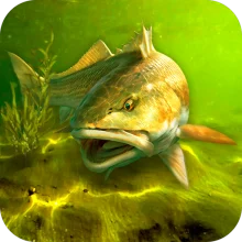 My Fishing World