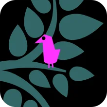 Words for a bird (МОД, нет рекламы)